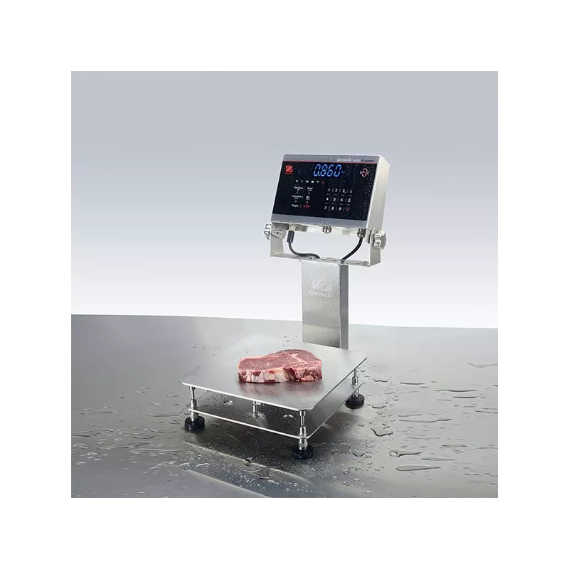 Counting bench scale DEFENDER™ 6000 WASHDOWN - I-D61XW | Balance Express