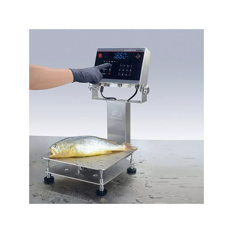 Counting bench scale DEFENDER™ 6000 WASHDOWN - I-D61XW | Balance Express