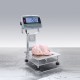 Counting bench scale DEFENDER™ 6000 WASHDOWN - I-D61PW