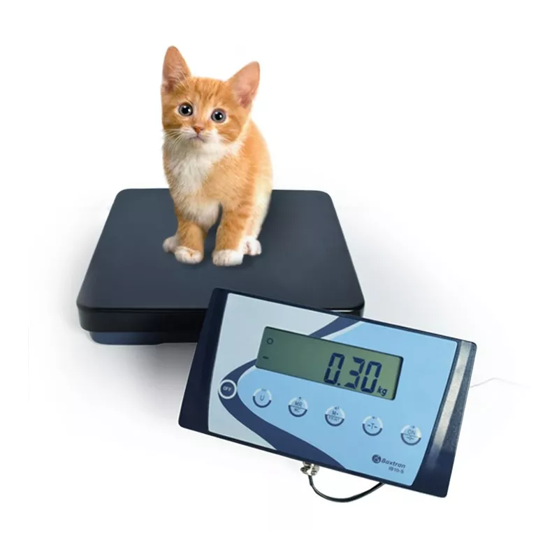Veterinary scale (15kg-300kg) BAXTRAN APS | Balance Express