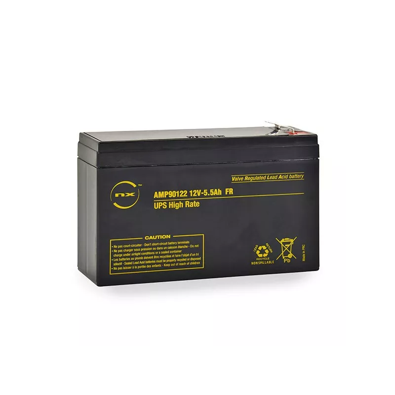 Batterie rechargeable OHAUS RS, BTWIN 12V 5Ah | Balance Express