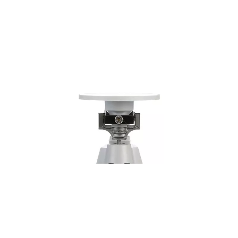 Balances Mécaniques TRIPLE BEAM 700 | Balance Express