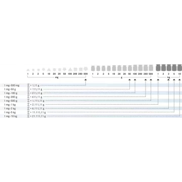 OIML F1 (328-22) Sets of weights | Balance Express