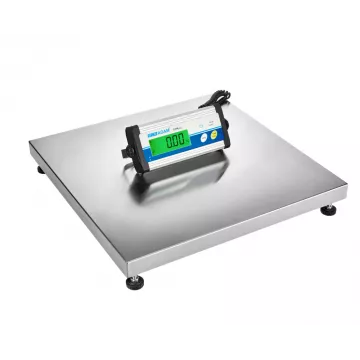 Stainless Steel Platform Scales ADAM CPWplus | Balance Express