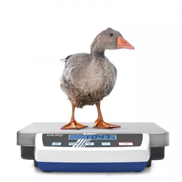 Balance plate-forme en acier inoxydable KERN DE-D pour industrie, colis | Balance Express