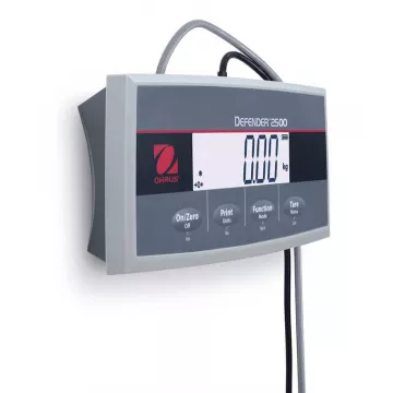 Balance au sol Defender™ 2500 – i-DF25 | Balance Express