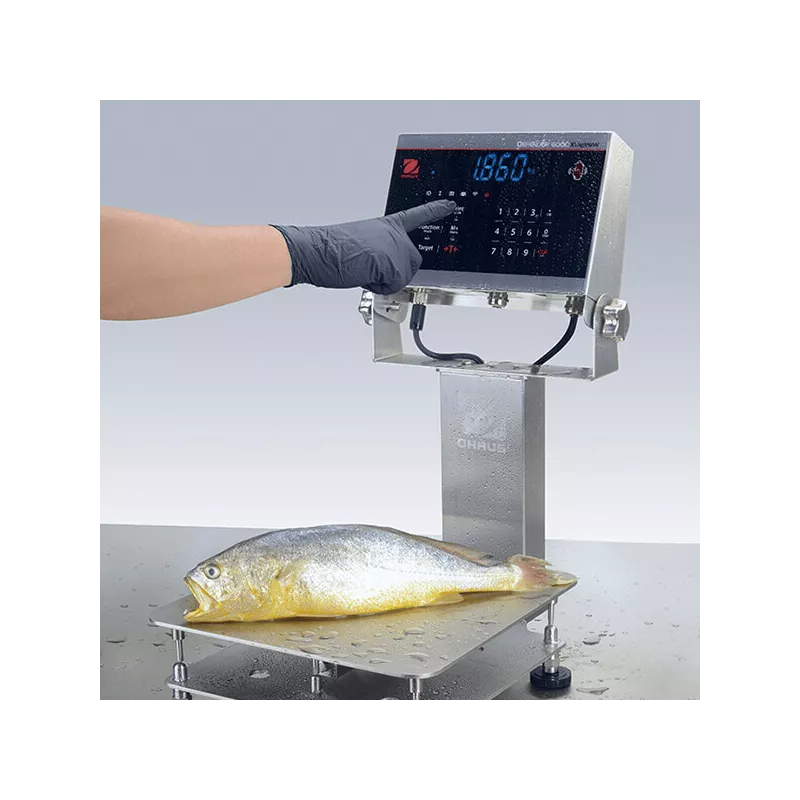 Indicateur OHAUS DEFENDER™6000 i-DT61XWE | Balance Express