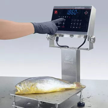 Indicateur OHAUS DEFENDER™6000 i-DT61XWE | Balance Express