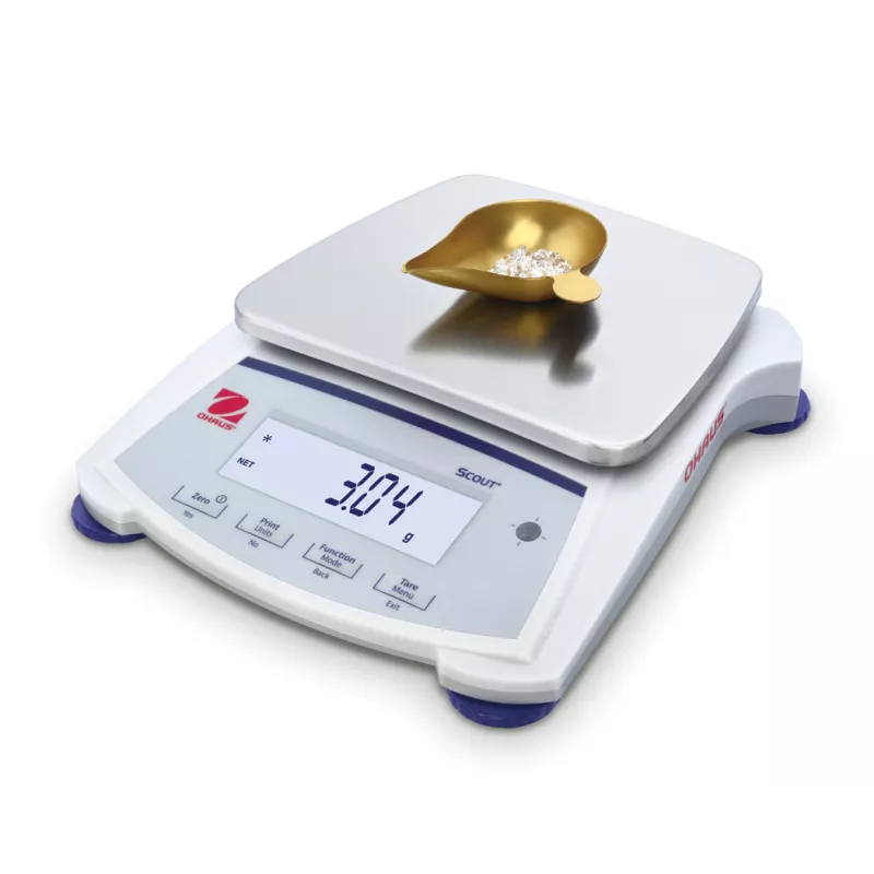 Balance de bijouterie OHAUS SCOUT™ SJX | Balance Express