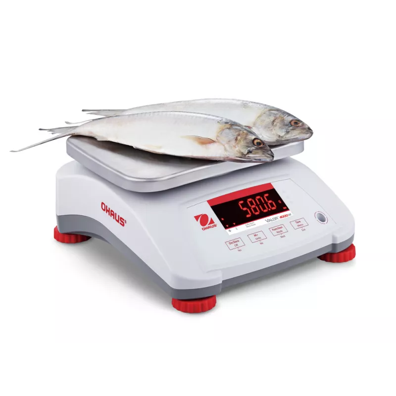 Balance alimentaire étanche OHAUS VALOR® 4000 ABS | Balance Express