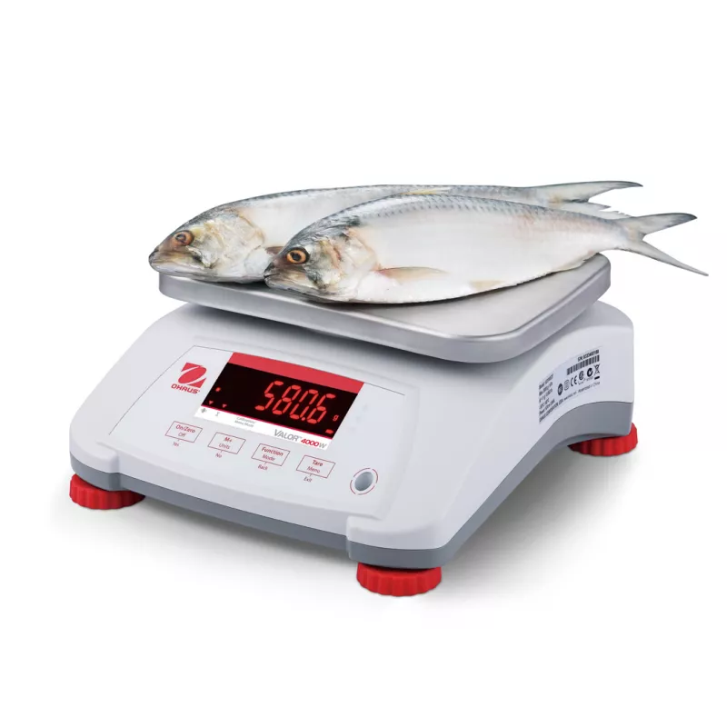 Balance alimentaire étanche OHAUS VALOR® 4000 ABS | Balance Express
