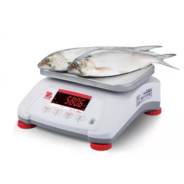 Balance alimentaire étanche OHAUS VALOR® 4000 ABS | Balance Express