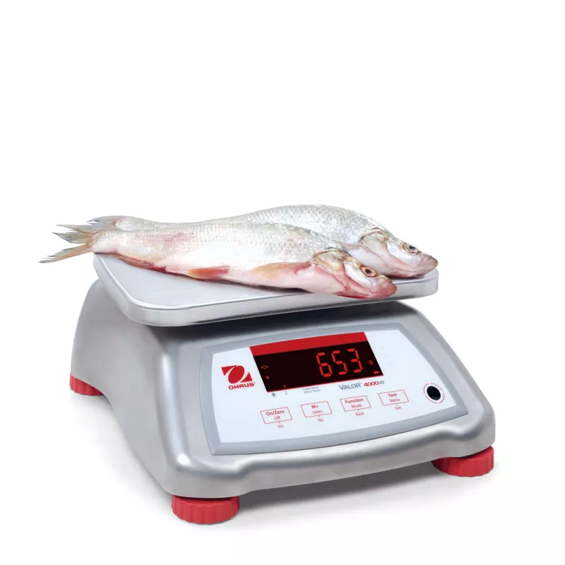 Balance alimentaire et étanche OHAUS VALOR® 4000 INOX | Balance Express