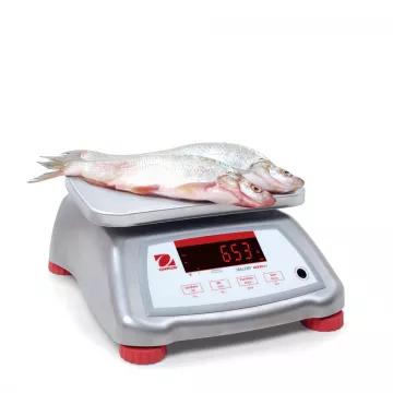 Balance alimentaire et étanche OHAUS VALOR® 4000 INOX | Balance Express