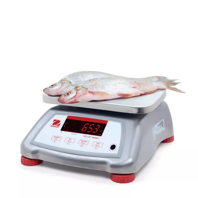 Balance alimentaire et étanche OHAUS VALOR® 4000 INOX | Balance Express
