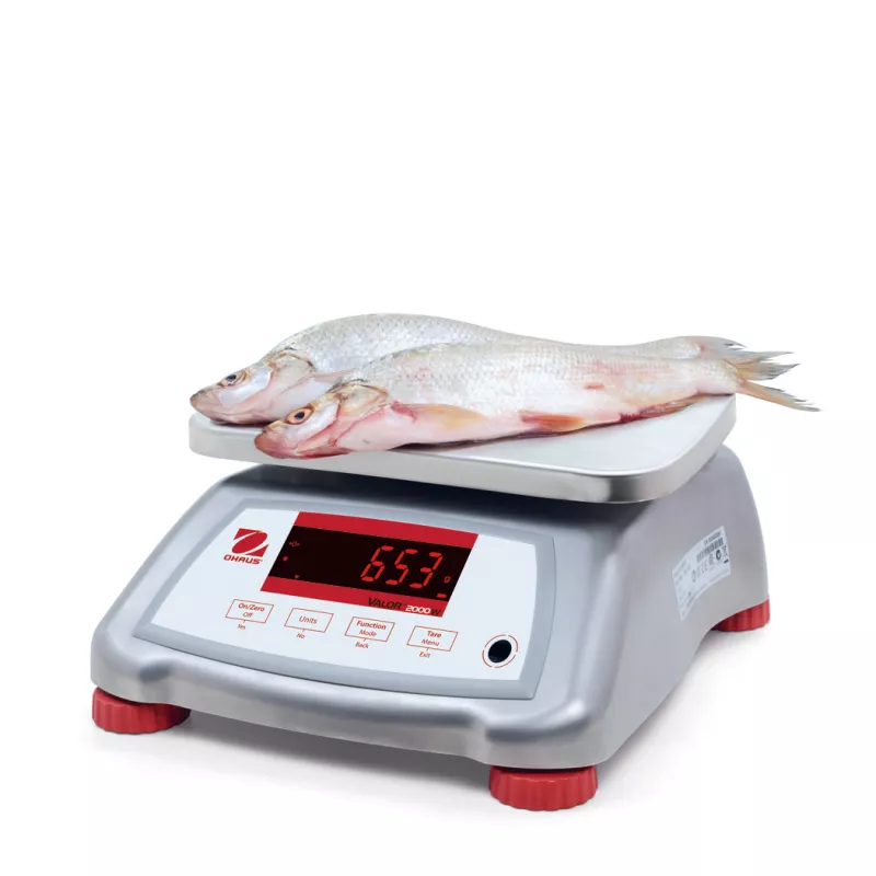 Balance alimentaire rapide et durable OHAUS VALOR™ 2000 INOX | Balance Express