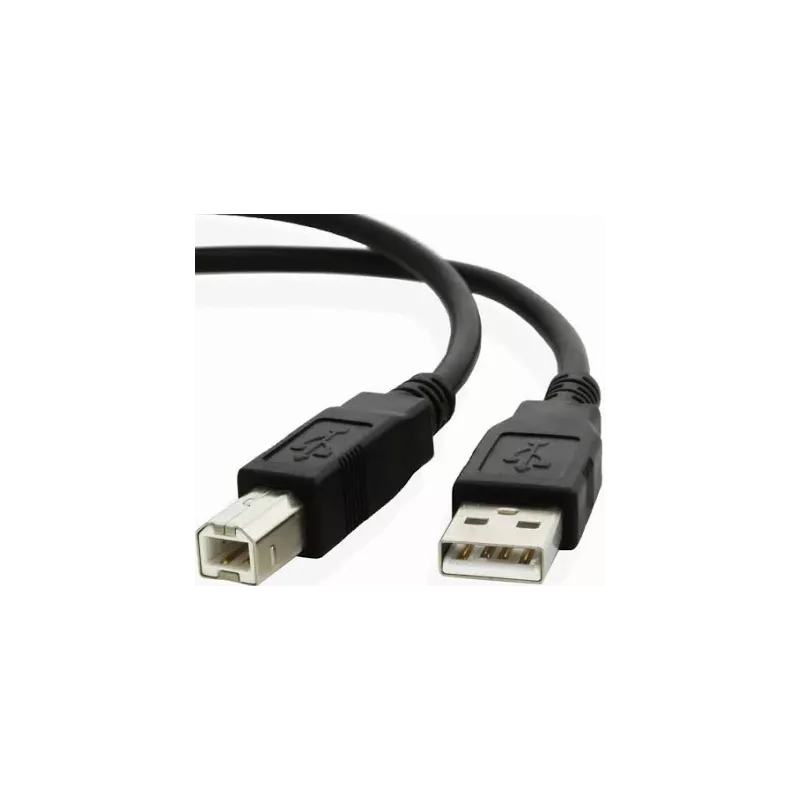 Câble USB (TYPE B, Communication PC) - CAB-USB-AB5 | Balance Express