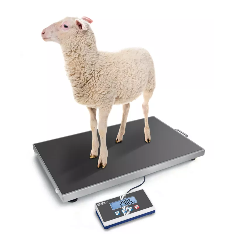 Balance vétérinaire KERN EOS | Balance Express