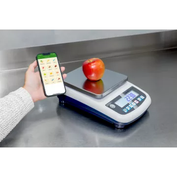 Balance de précision KERN PFB | Balance Express