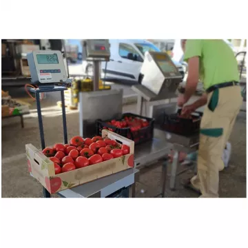 %product-name% %separator% %shop-name%