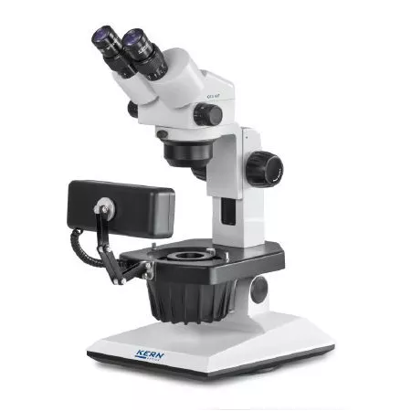 %product-name% %separator% %shop-name%