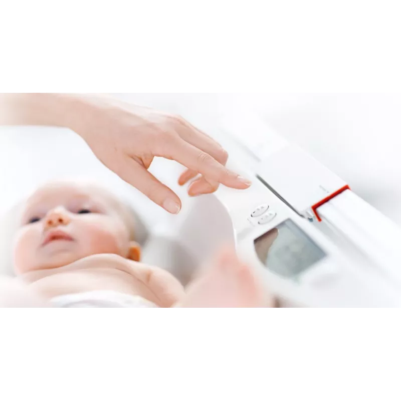 Measuring rod for baby scale SECA 374 - SECA 233 | Balance Express