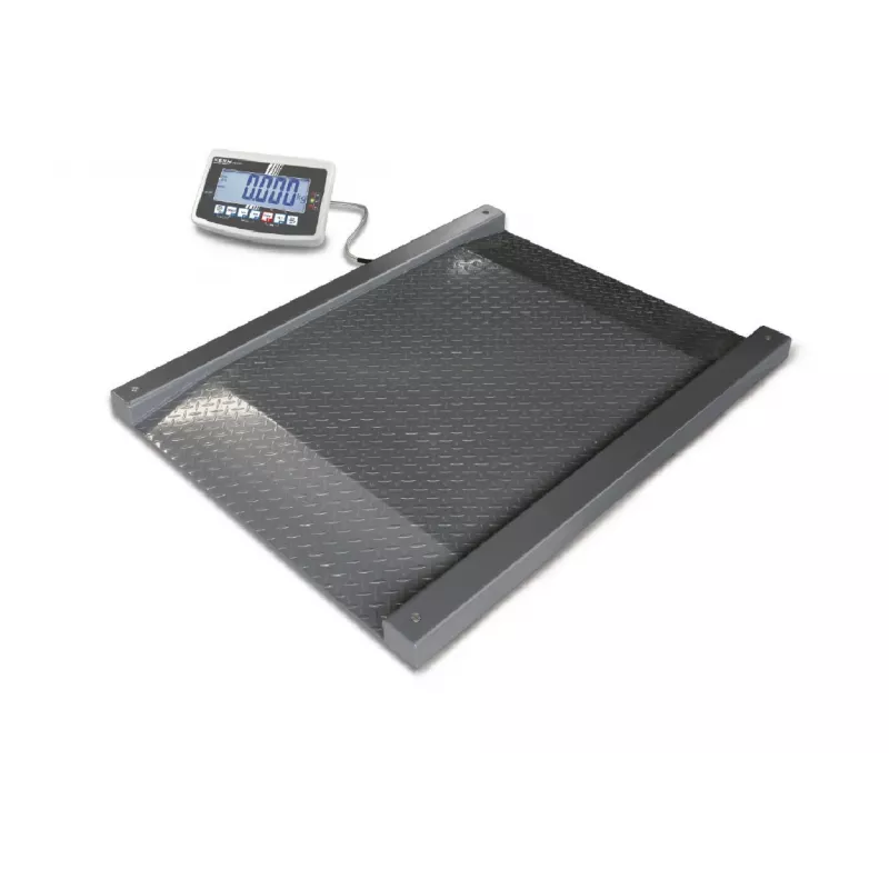 Drive-through scale KERN NFB | Balance Express