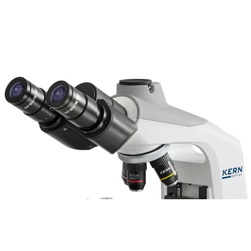 Transmitted light microscope OBE-12 • 13 | Balance Express