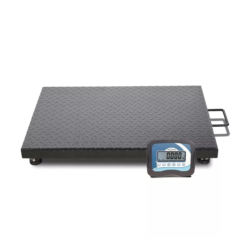 Platform with steel framework (600kg) BAXTRAN ZFD | Balance Express