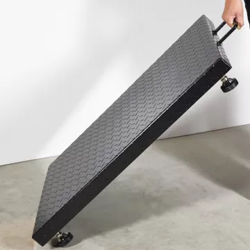 Platform with steel framework (600kg) BAXTRAN ZFD | Balance Express