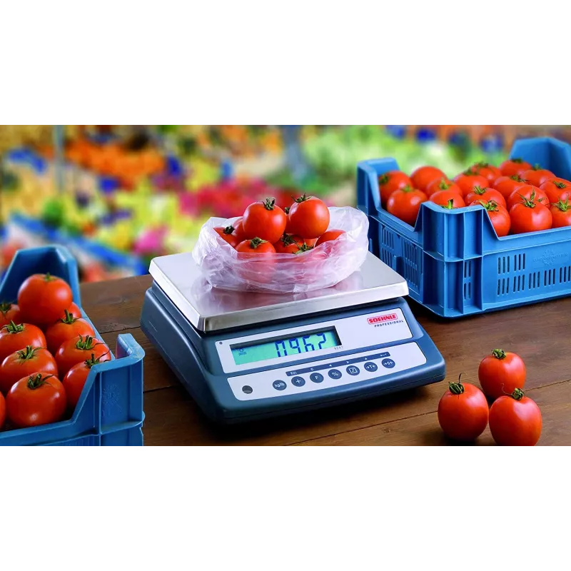Compact balance for weighing and simple counting tasks SOEHNLE 9241 | Balance Express