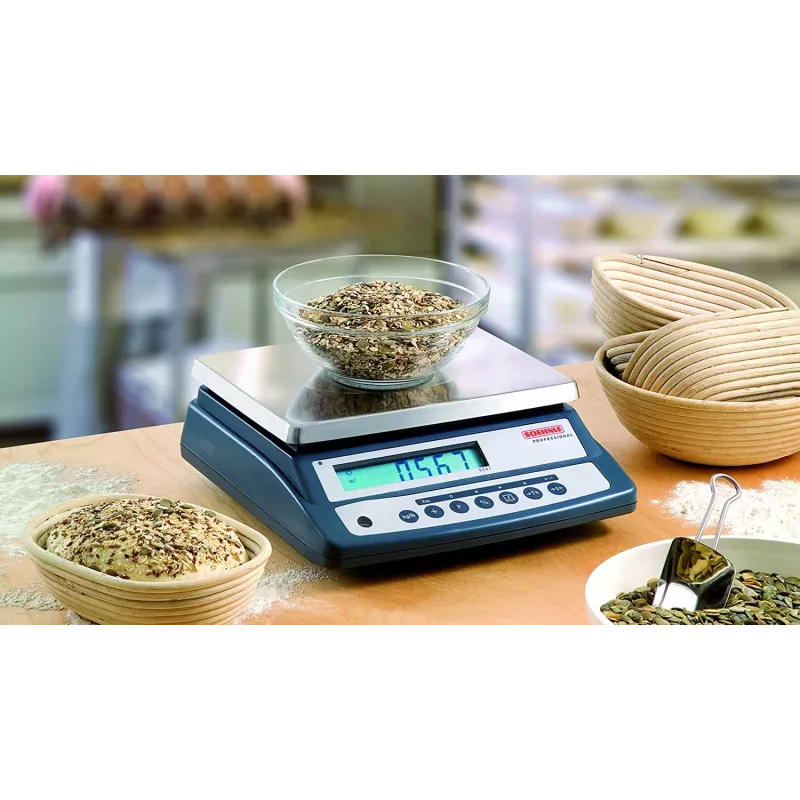 Compact balance for weighing and simple counting tasks SOEHNLE 9241 | Balance Express