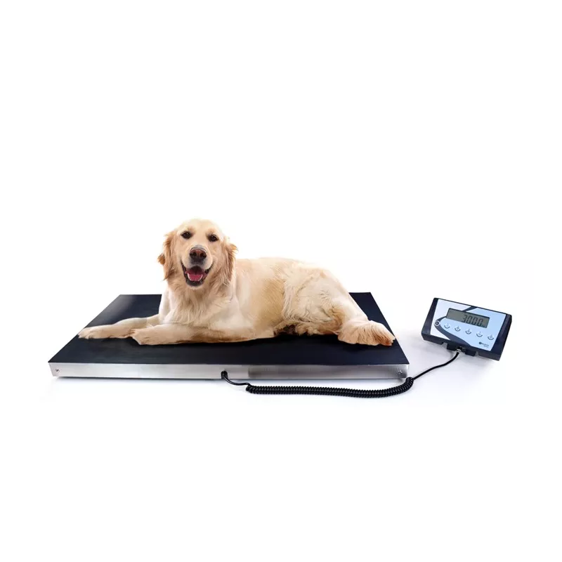 Veterinary scale BAXTRAN AIS/AIS-W | Balance Express