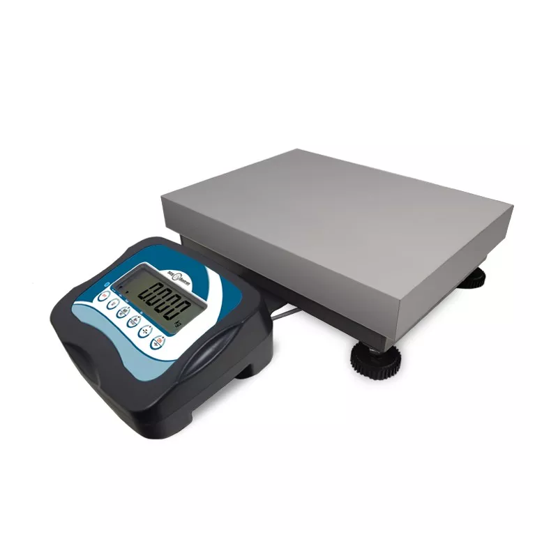 Platform scale with removable indicator (15kg-150kg) BAXTRAN TZ | Balance Express