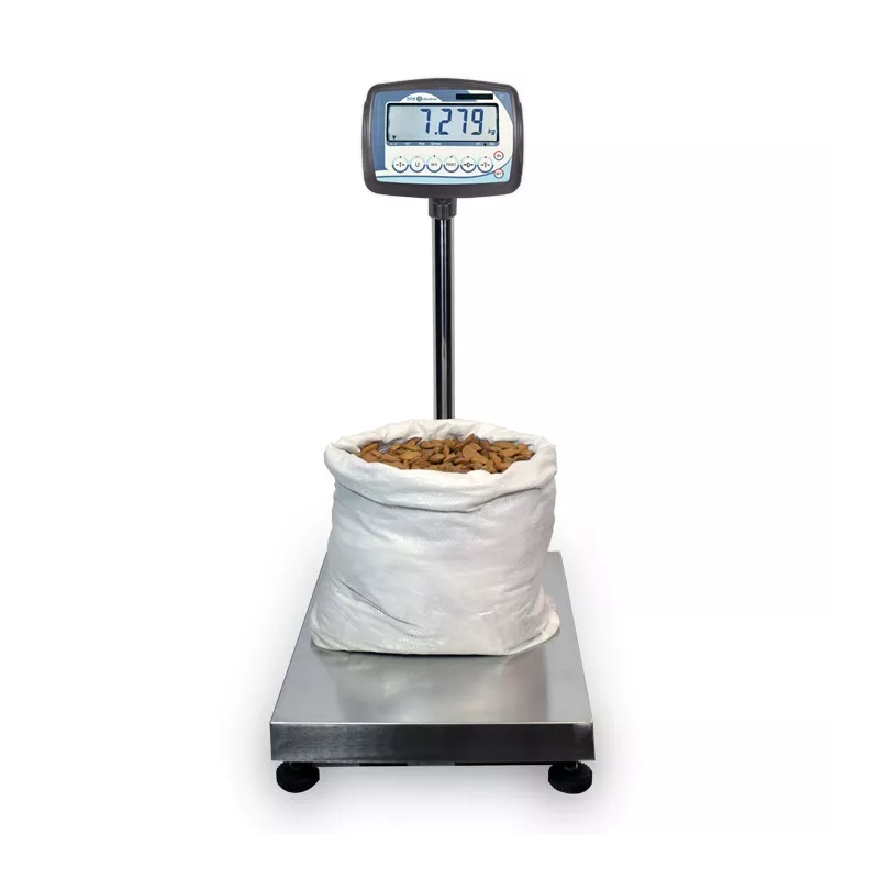 Plate-forme en acier inoxydable (30kg-600kg) BAXTRAN TMN | Balance Express