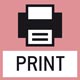 Imprimante :  une imprimante peut être raccordée à l’appareil pour imprimer les données de mesure.